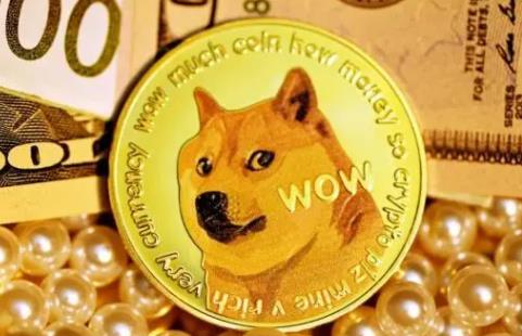 tp钱包不支持狗狗币吗_狗狗币提tp钱包选哪个链_狗狗币tp钱包