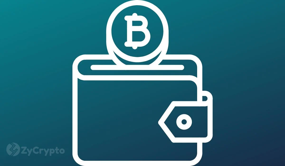 tp钱包公司能查到登录id吗-TP钱包隐私安全揭秘：登录ID是否会被公司查到？保护个人隐私的关键