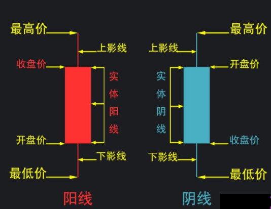 钱包tp_钱包图解_tp钱包怎么下载k线图