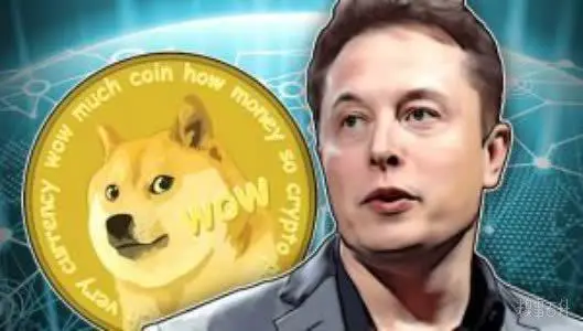 tp钱包支持狗狗币吗_狗狗币提tp钱包选哪个链_狗狗币放tp钱包