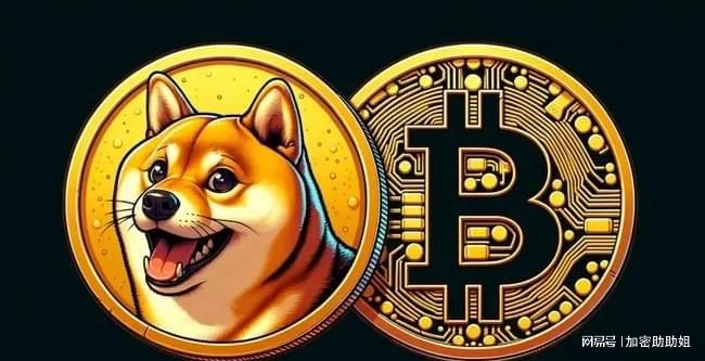 钱包英语_doge_tp钱包 doge