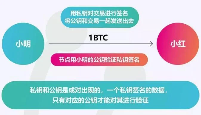 tp钱包私钥怎么用_tp钱包私钥怎么用_tp钱包私钥怎么用