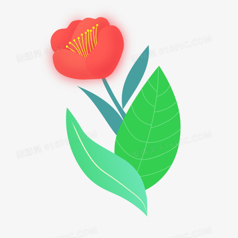 钱包是什么生肖正确数字_钱包是干嘛的_什么是tp钱包和IM钱包