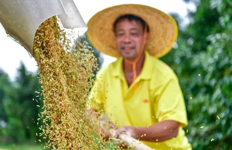 tp钱包怎么转账没有记录_转账记录没有了怎么办_转账后没有转账记录