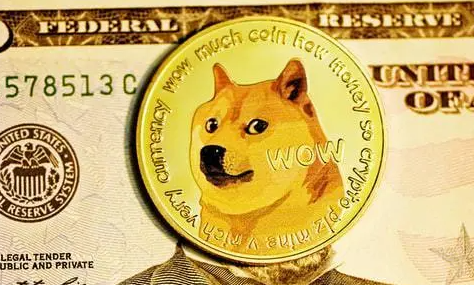 tp钱包 doge_钱包怎么折_钱包英语