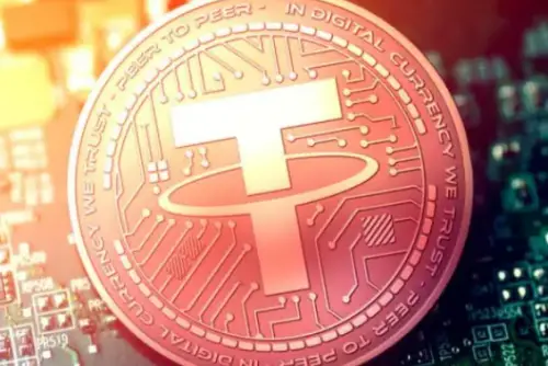 钱包使用什么颜色的好_tp钱包怎么使用usdt_钱包使用方法