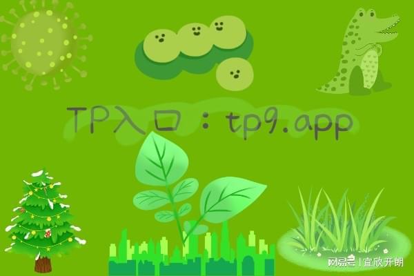 tp钱包是哪个公司的-TokenPocket：TP 钱包背后的实力雄厚区块链公司