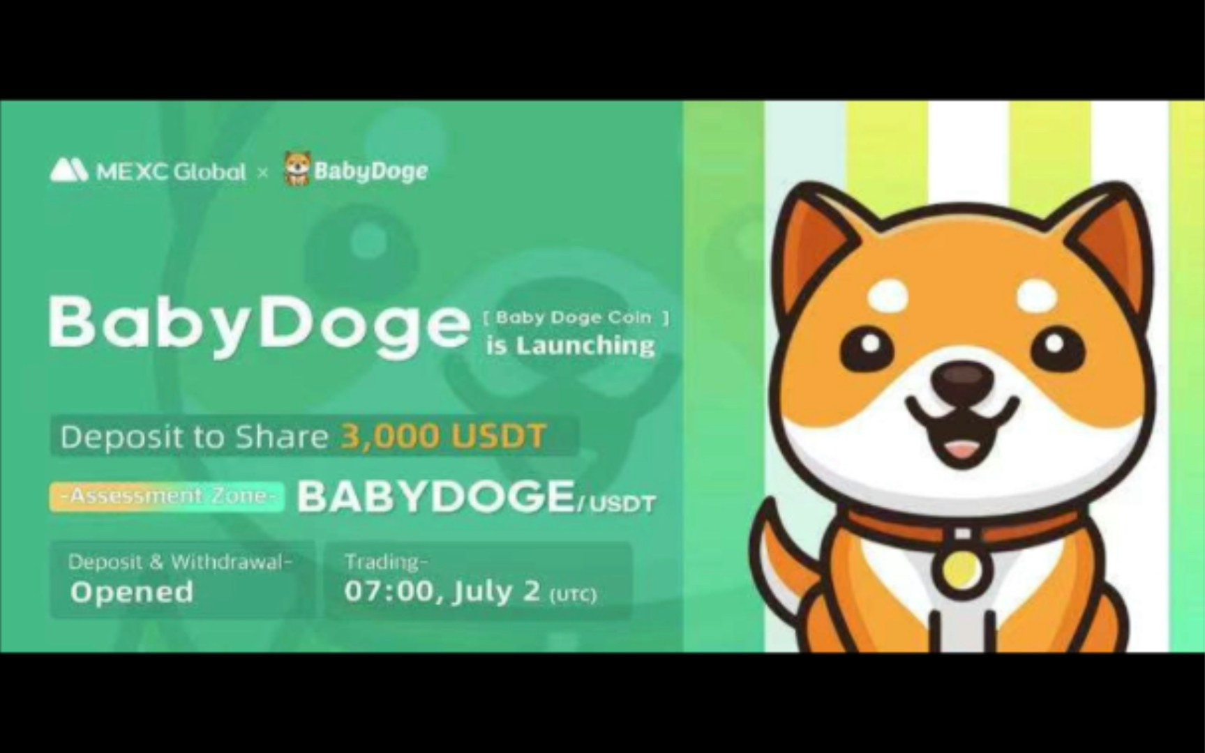 tp钱包买babydoge_钱包买什么颜色的好女_钱包买什么颜色招财和聚财