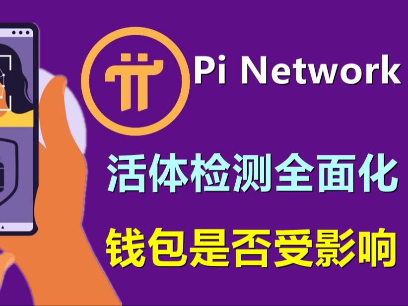 tp钱包导入钱包后市场不见了_导入钱包后看不到资产_重新导入钱包找不到资产了