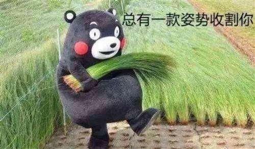 钱包狗狗币_狗狗币 tp钱包_狗狗币钱包安装教程