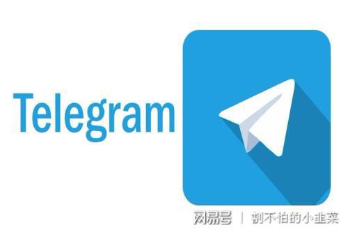怎么转入tp钱包_钱包转入零钱通有什么好处_钱包转入零钱通