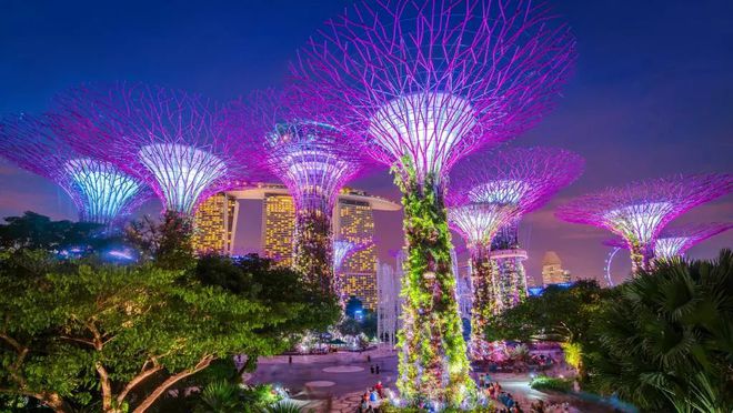 钱包地址能查到哪个平台的吗_钱包地址查询交易明细_tp钱包怎么查地址