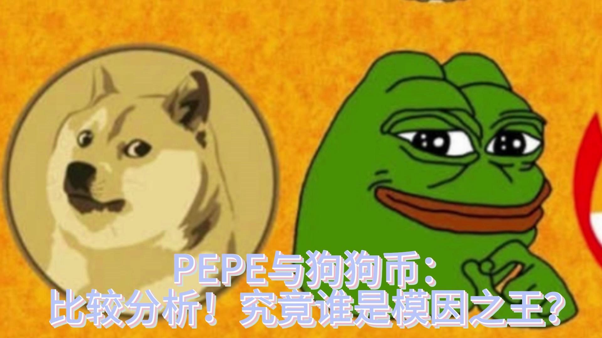 tp钱包 狗狗币网络_dogecoin狗狗币钱包_狗币tp钱包