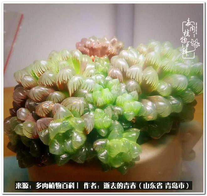 狗狗币钱包怎么提现_狗狗币提现到tp钱包_狗狗币钱包转账手续费