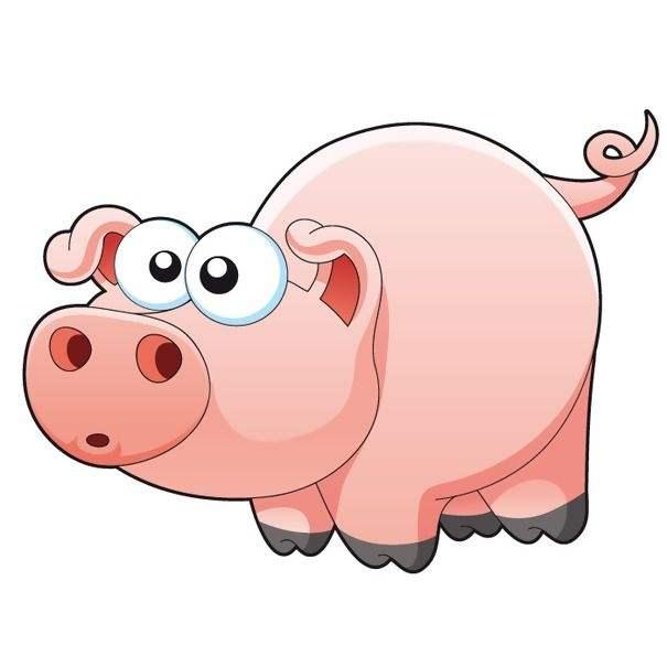 usdt钱包转钱包_钱包usdt怎么提现_tp钱包提usdt到交易所