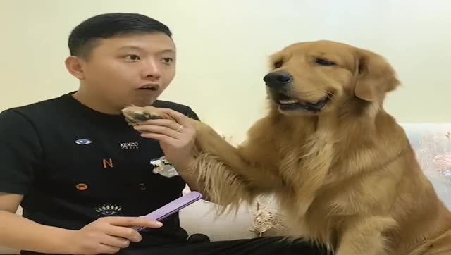 钱包币币闪兑_tp钱包闪兑一直在兑换中_tp钱包闪兑没了