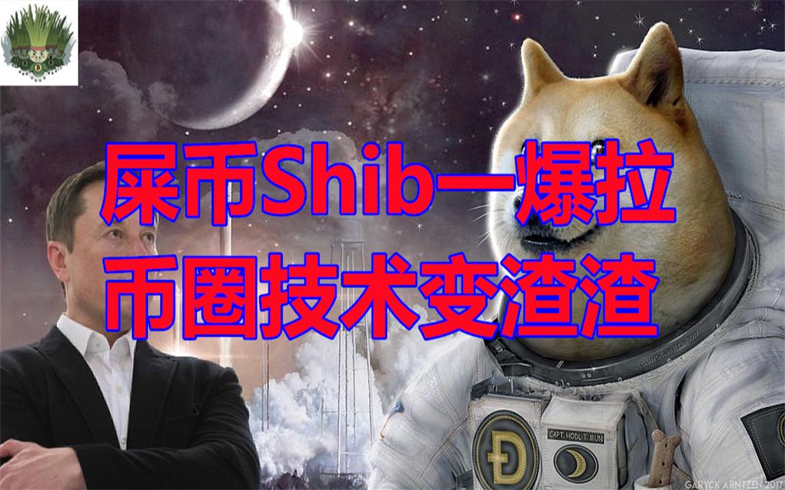 分红币有哪些_tp钱包doge有分红吗_分红币的收益哪个好