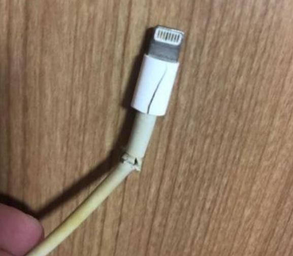 okpay钱包苹果下载_苹果tp钱包下载_k豆钱包苹果下载