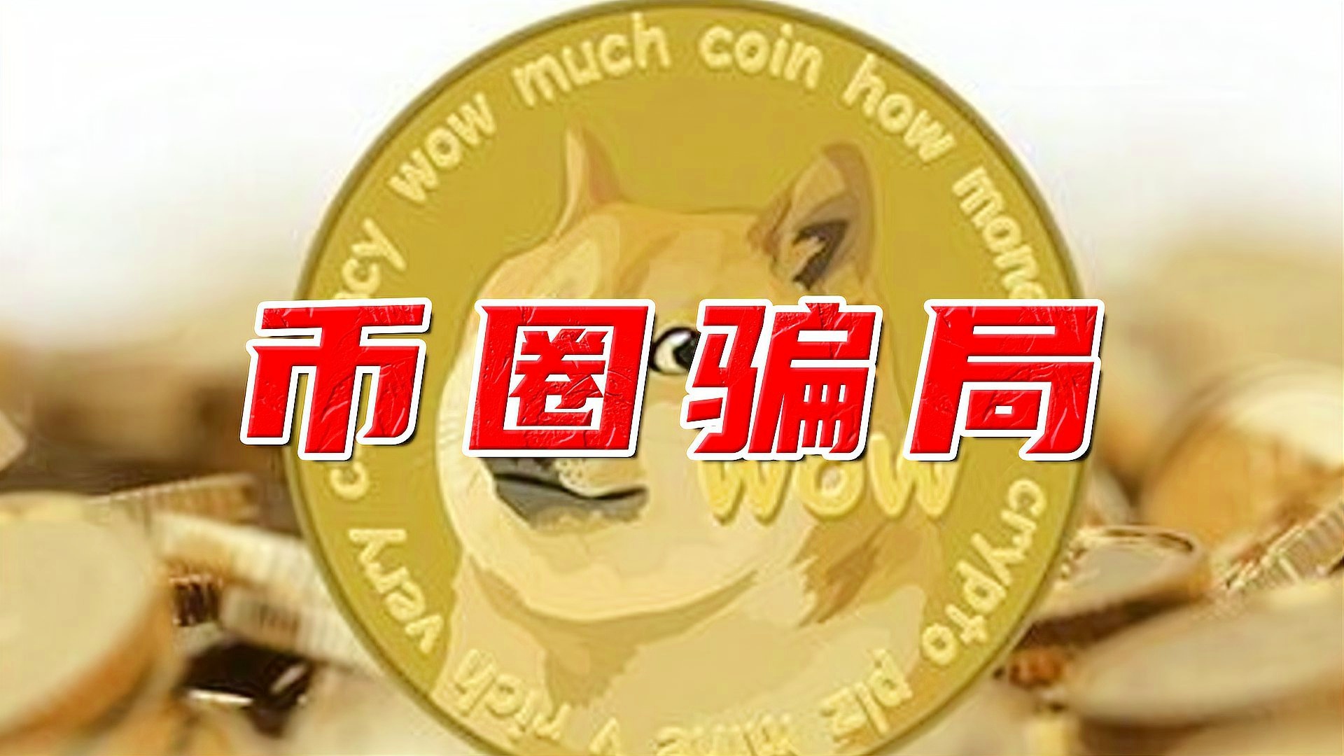 钱包狗狗币_狗狗币提到tp钱包_狗狗币钱包怎么提币
