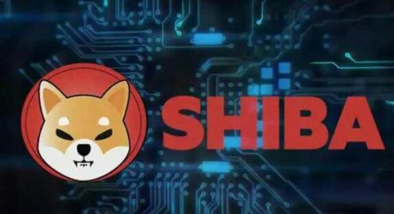 狗狗币提到tp钱包_钱包狗狗币_狗狗币钱包怎么提币