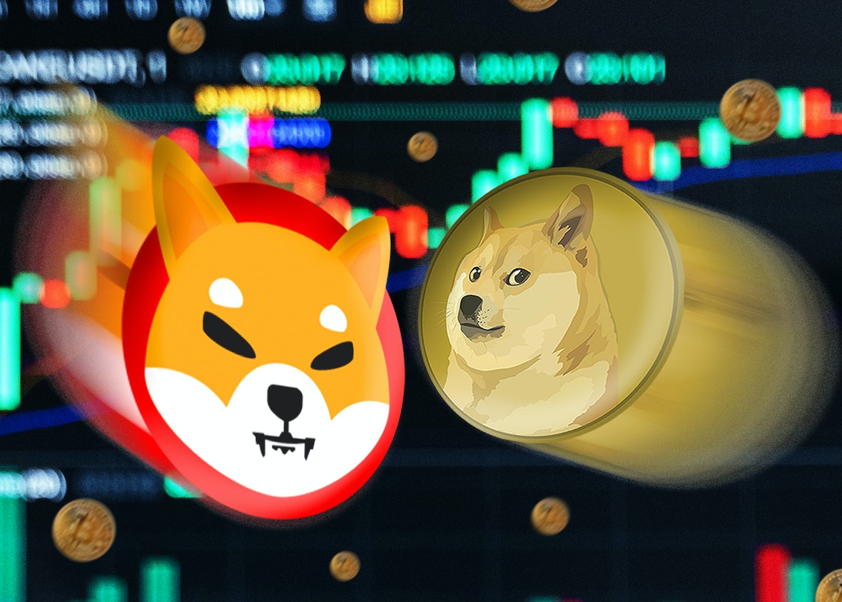 狗狗币钱包转账_狗狗币钱包导入私钥_狗狗币怎么转到tp钱包