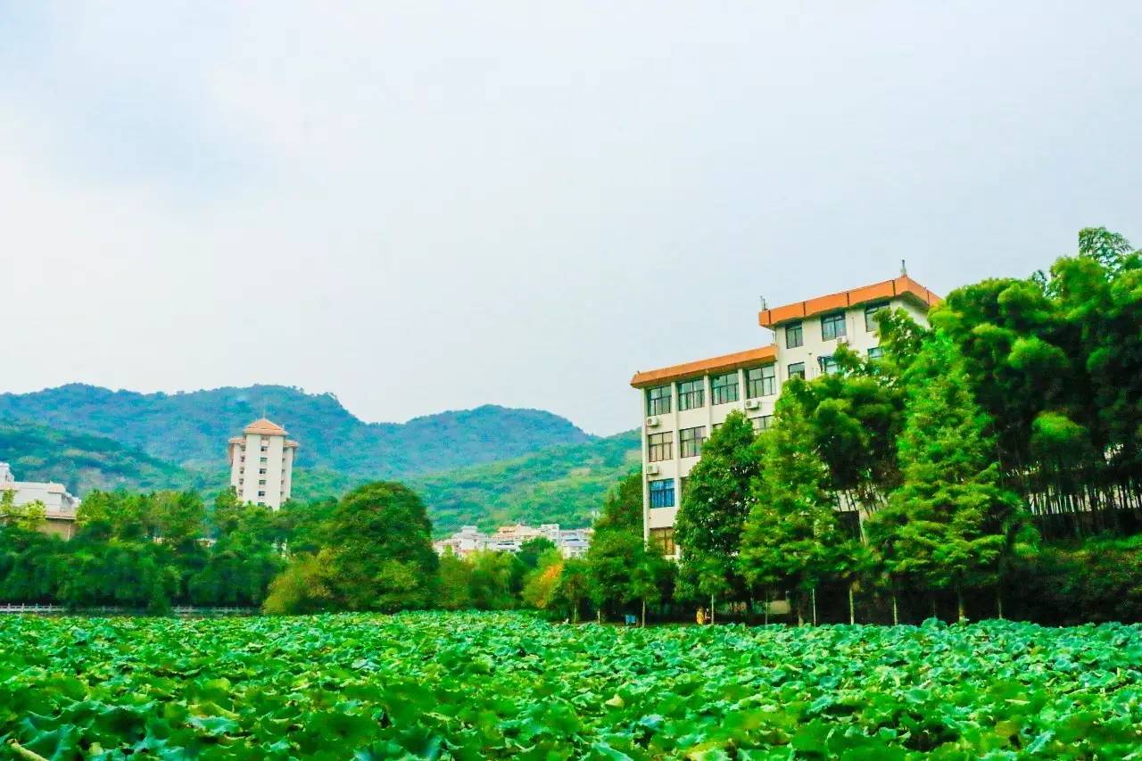 钱包地址TS开头_钱包地址T开头是什么钱包_tp钱包的地址