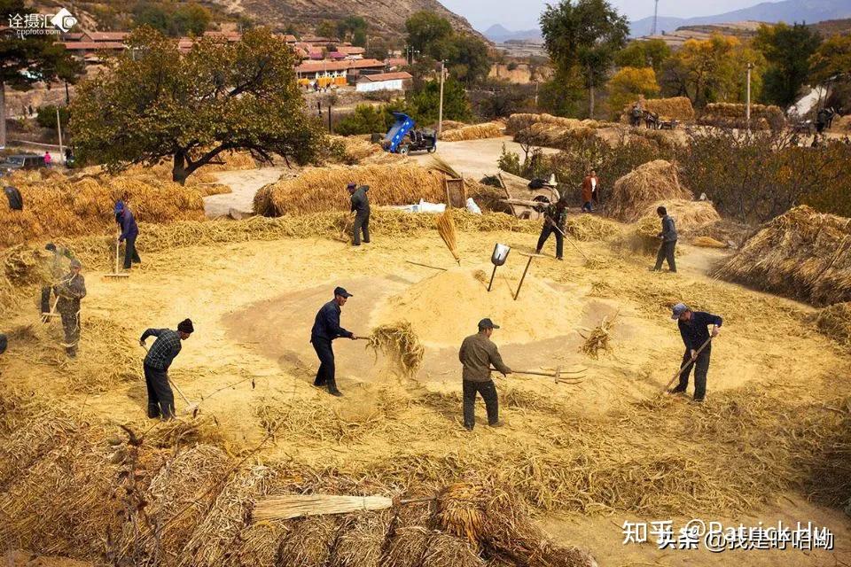 麦子钱包使用教程_麦子钱包 tp钱包_麦子钱包安装教程