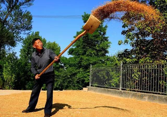 麦子钱包安装教程_麦子钱包sol_麦子钱包 tp钱包