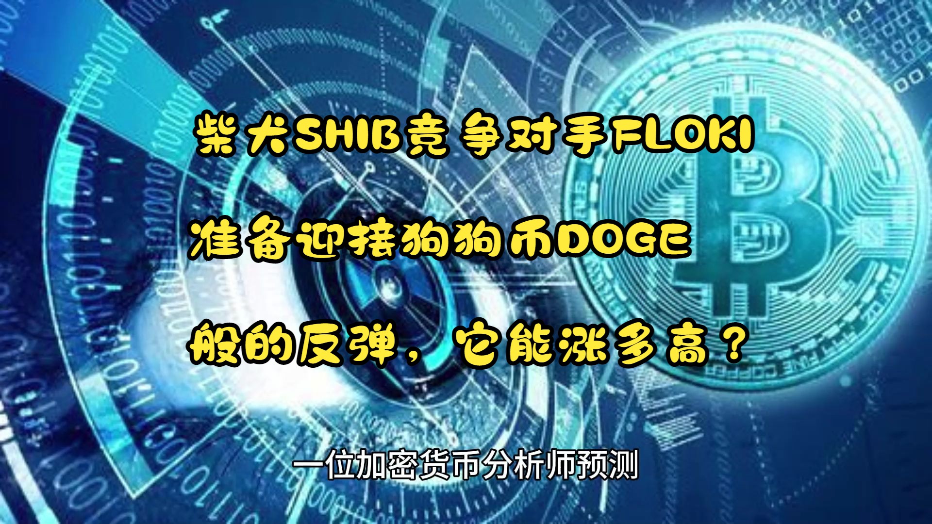 狗狗币钱包容易被盗币吗_狗狗币可以放tp钱包吗_狗狗币放钱包里面什么拿出来卖