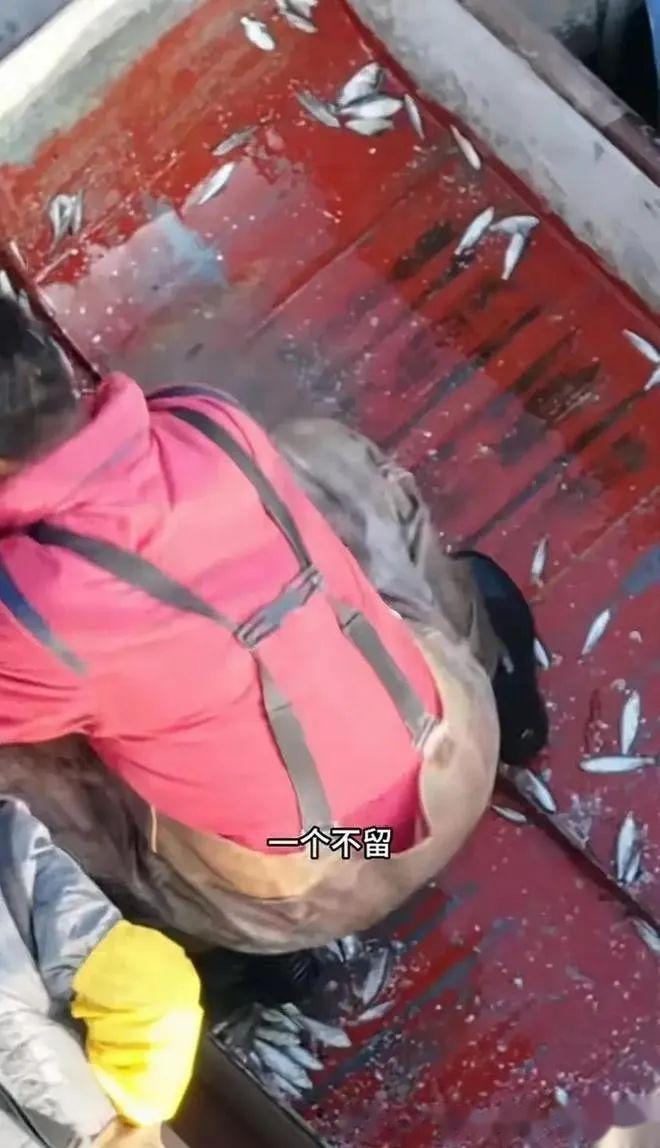 钱包被偷警察不管_tp钱包被盗报警有用吗_钱包被偷报警找回几率有多大