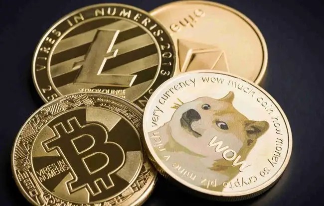 tp钱包可以装doge吗_钱包里可以放避孕套吗_钱包可以当手拿包吗