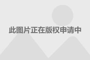 钱包客服是什么_tp钱包官方客服电话_钱包商家官方客服电话