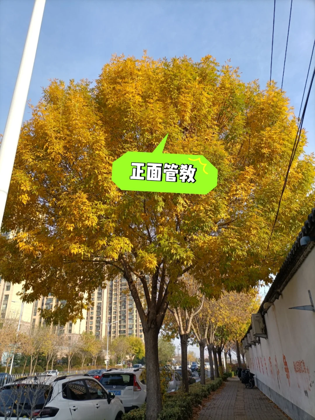 tp钱包助记词老是提示错误_钱包助记词可以修改吗_钱包记助词忘记了怎么办