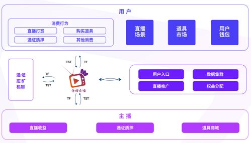 区块链入口技巧,轻松掌握去中心化技术的关键步骤