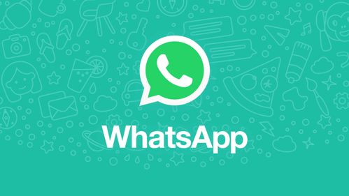 今年内地不能用whatsapp吗,社交沟通新挑战