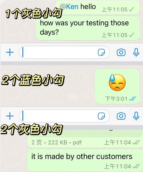 聊天工具whatsapp下载,轻松掌握聊天工具使用技巧