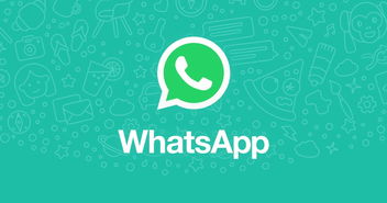 没翻墙也能收到WhatsApp,揭秘国内接收WhatsApp消息的便捷方法