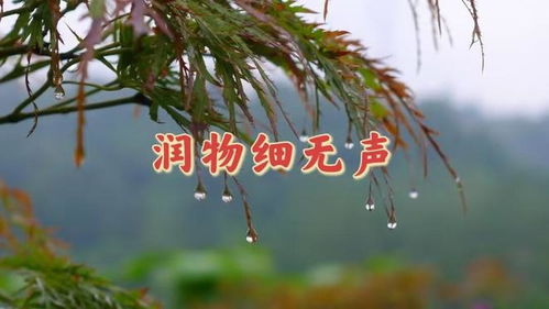 真恶狼传说游戏 真恶狼传说游戏