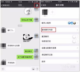 skype如何查看历史聊天记录吗,轻松找回历史对话