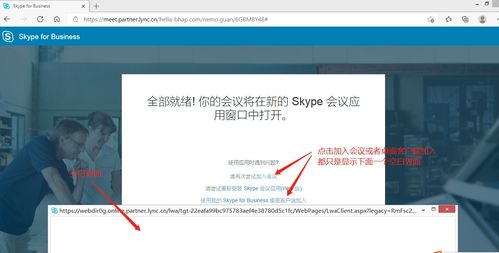 skype手机版加入不了会议,Skype手机版会议接入难题解析