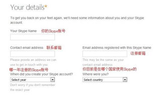 skype为什么会冻结账户,原因与应对策略