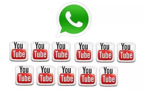 whatsapp老挝语,沟通新纪元的桥梁