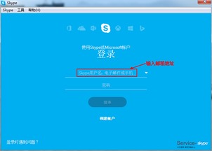 skype旧版2019,Sky