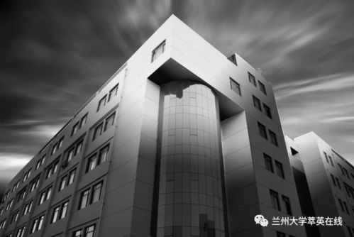 女神异闻录夜幕魅影游戏正式版预下载官网版 