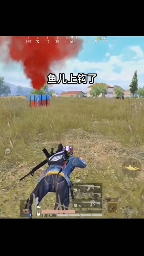 你家猫饿了游戏下载中文版最新版 