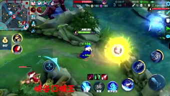 云小雅 