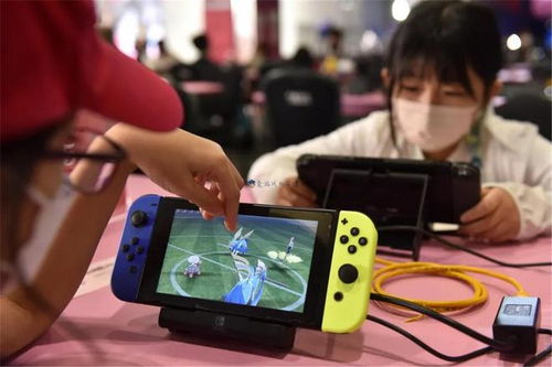 怀德花园switch游戏 
