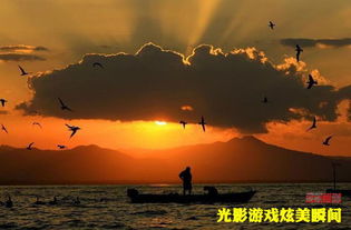 女神异闻录夜幕魅影游戏正式版预下载官网版 