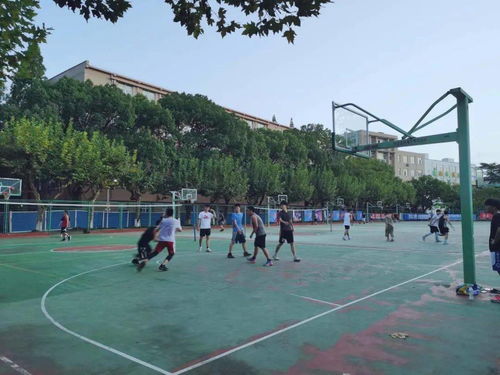 我的球场游戏下载 