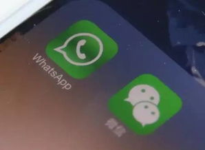 whatsapp跟微信的区别,跨平台社交巨头的差异化概览